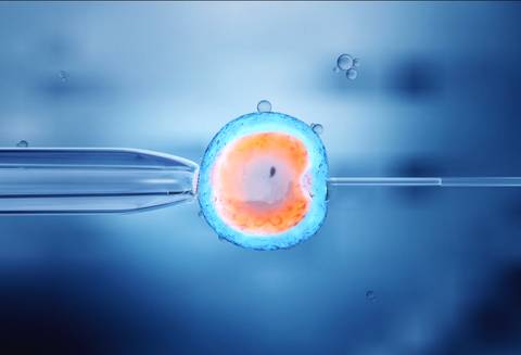 捐卵试管助孕：美国试管婴儿短方案和长方案的区别有哪些