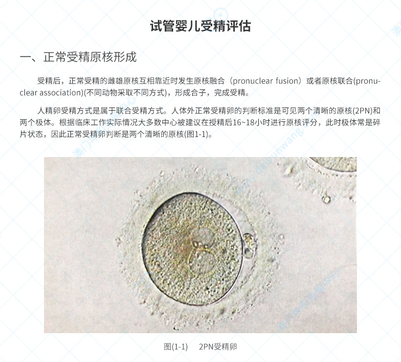 试管婴儿受精评估_01.jpg