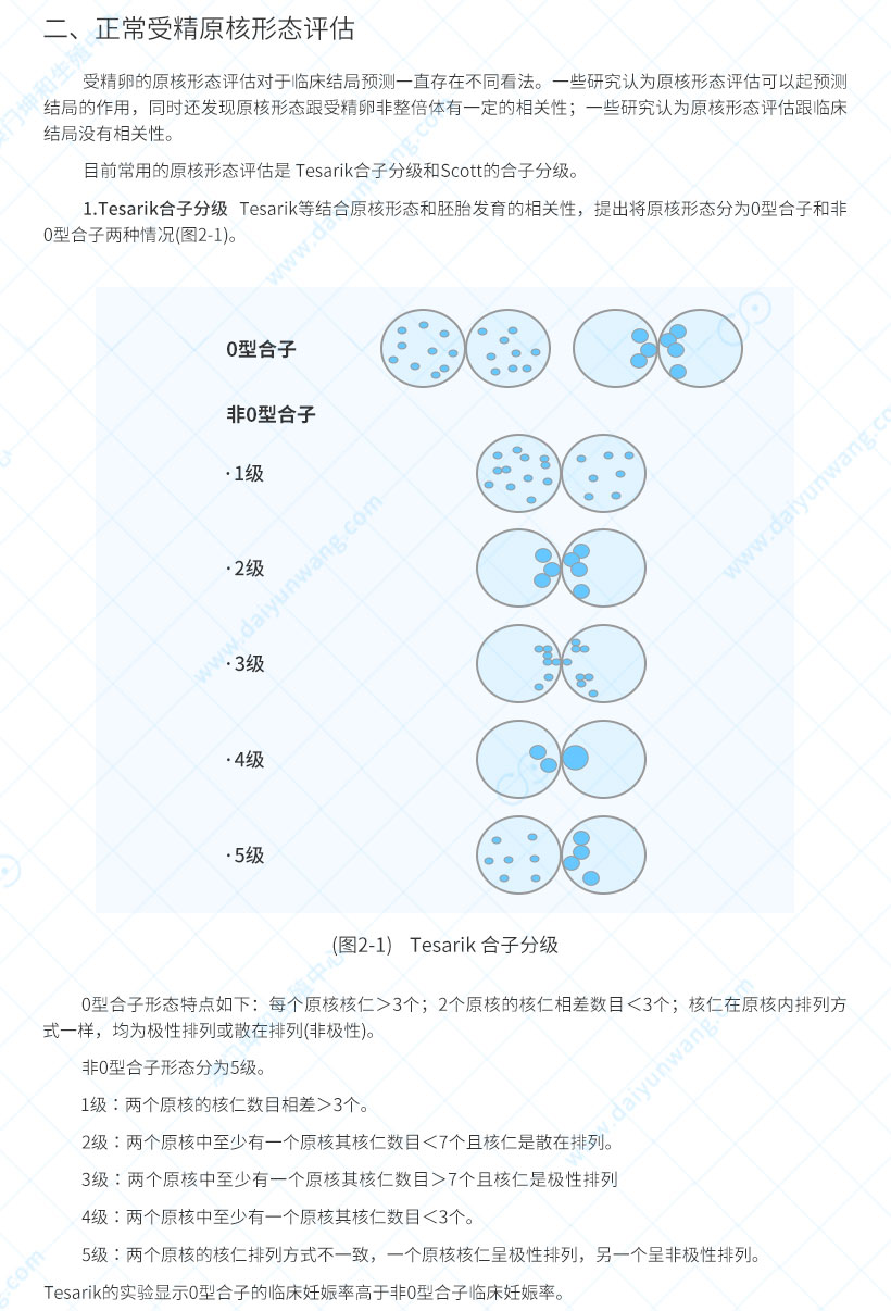 试管婴儿受精评估_02.jpg
