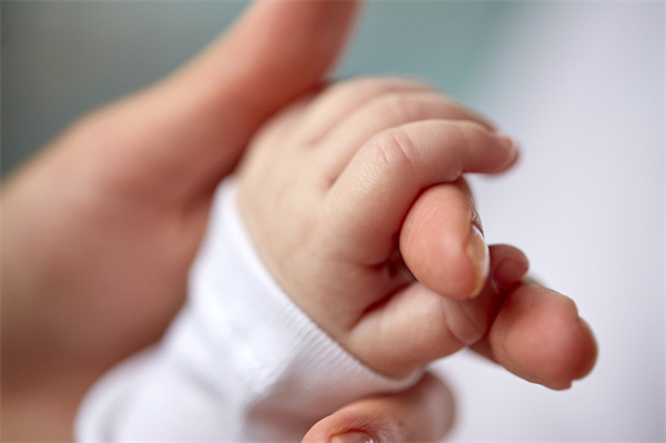 试管婴儿是在试管中成长还是从肚子里生出来的？